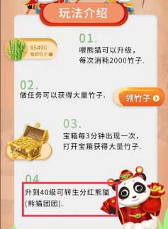 2021最佳亲民项目熊猫团团于2月8号首码公测，首创多个分红板块＋正规零撸项目