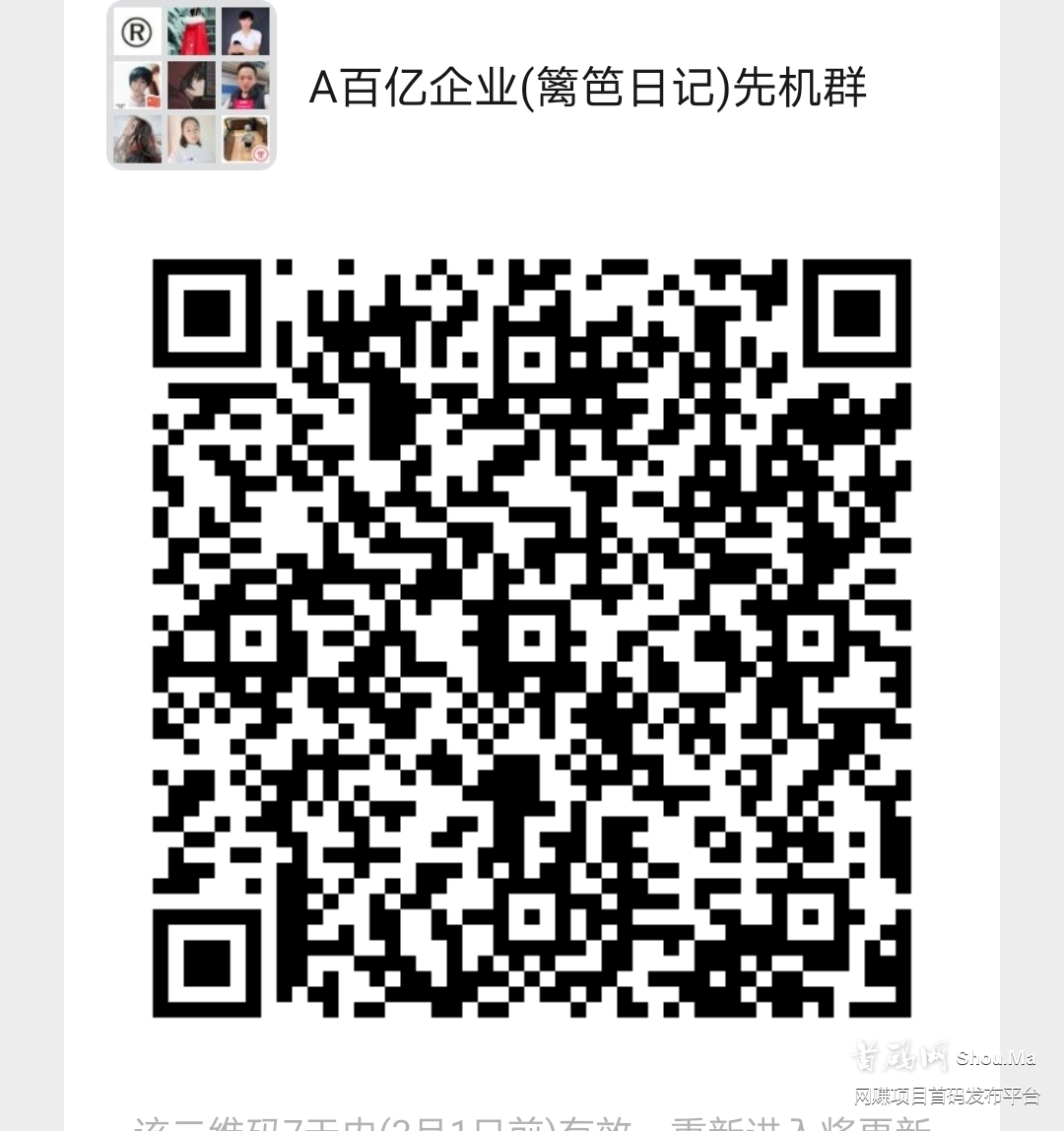 300亿电商巨头（篱笆日记）27号出码