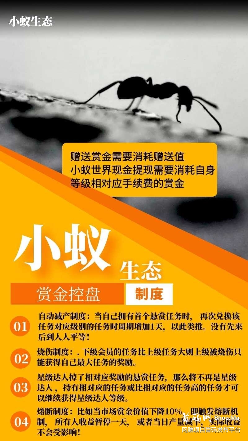 小蚁生态双APP运行赏金商业系统