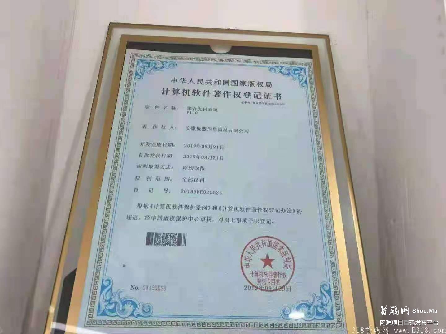 首码新项目，实体大公司，14号上线，万人托的排线，躺赚的来