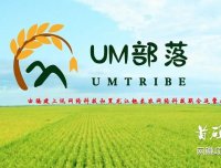 UM部落微信小程序网赚项目：零撸实体商城+区块链+游戏