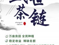 盛世茶链明日正式起航