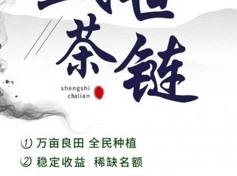 盛世茶链明日正式起航