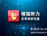 橘猫势力APP官方首码内测,对接团队长