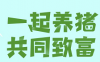 「一起来养猪APP」- 旅行旗下,自动合成模式,微信登陆sm秒提0.3