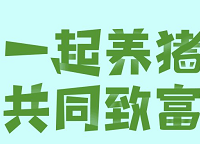 「一起来养猪APP」- 旅行旗下,自动合成模式,微信登陆sm秒提0.3