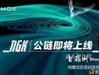NGK.IO,全球首条实名监管公链,美国MSB牌照