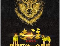 星运拼购
真人拼团，积分线下实体可消费，两个首创