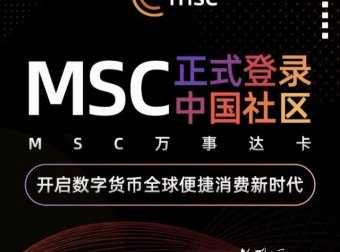首码海外MSC晨星币315全球开放注册
来自棒子国的MSC,期待韩国社区把雷达机制继续发扬光大