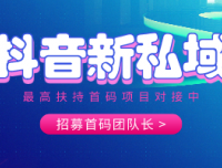 抖音新私域项目，启动内排公测，私聊我送最高级别，速度占位！