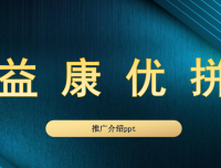 益康优拼，新暴利项目首码，公司项目方全网总对接