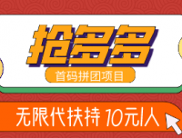 抢多多,新暴利项目首码对接,无限代扶持10元1人