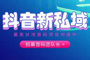 抖音新私域项目，启动内排公测，私聊我送最高级别，速度占位！