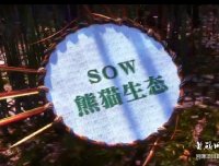 熊猫生态,简单扫脸实名认证,0撸精品大羊毛。