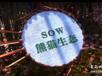 熊猫生态,简单扫脸实名认证,0撸精品大羊毛。
