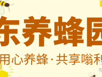 【蜜乐养蜂】首码启动,10代收益,长久稳定!