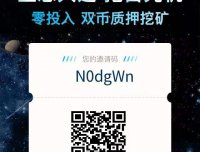 首码无限代扶持，可零撸-星链世界-1枚8U