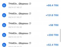 全球一条线，火爆朋友圈，