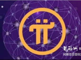 手机挖矿鼻祖，0撸，空投，Pi币(派币,Pi Network)注册流程：