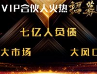 债消失商学院首码项目对接，全网招代理，免费开代理商级别